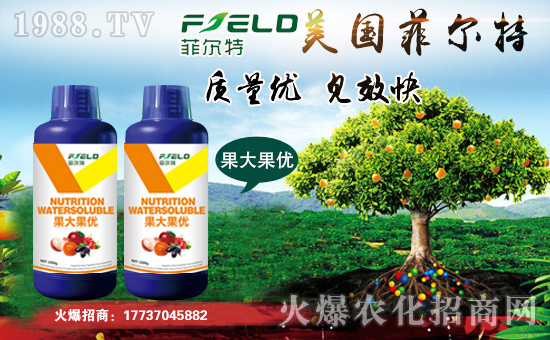 ���Ơ��ء�ףȫ����(j��ng)�N�����т����w���������������