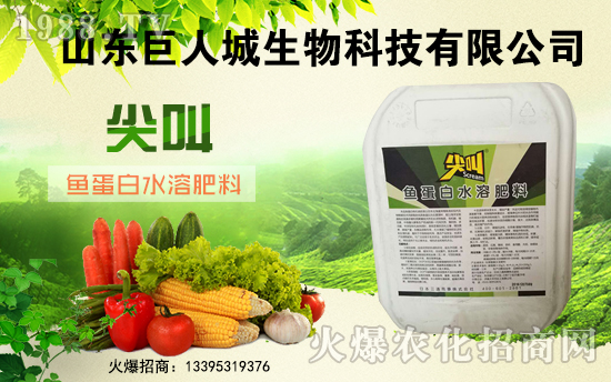 �����˳����ף������µ�һ�������w�����������³����f��������