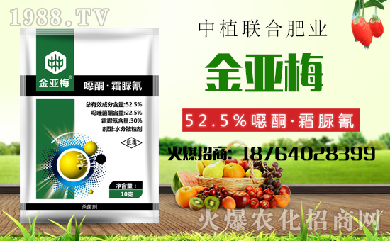 ����ֲ(li��n)�ϡ�ף������������옷���f��������