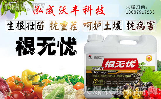 ���������S��ףȫ��(gu��)��(j��ng)�N�����w�������i�꼪����