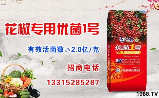     �D(zhu��n)��ӭ���r(n��ng)�v���������q����ƽ����ֵ���´��ѹ�(ji��)���R֮�H���ӱ��߼��r(n��ng)�I(y��)�Ƽ����޹�˾ף������µ�һ�������w�������f��������