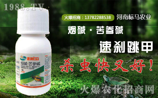 ����(bi��o)�R�r(n��ng)�I(y��)����ף��λ��(j��ng)�N���������w���������������