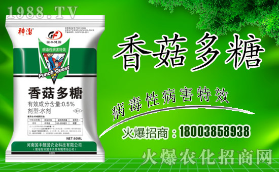 ����(gu��)�S���@��ȫ�w�T��ף����´��옷������������