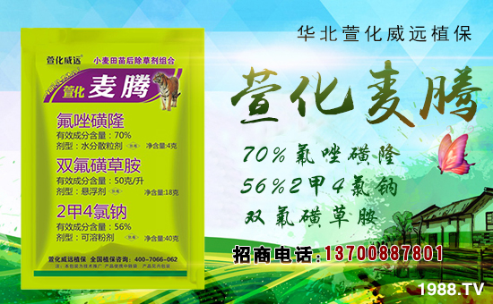 ���滯���h(yu��n)��ף������µ�һ������w�������f��������