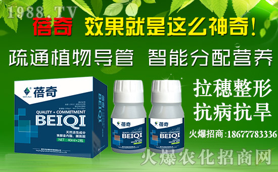 ���v�S�r(n��ng)�I(y��)��ף������µ�һ����ؔ(c��i)Դ�L�L�������d¡��