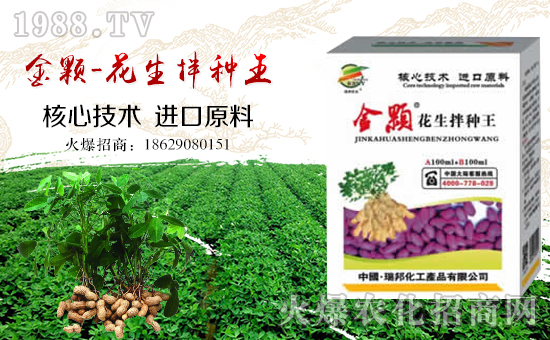 ��������ףȫ�������´������f��������