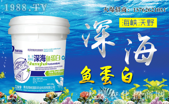 �����{��Ұ��ףȫ��(gu��)�����i������f(w��n)��������