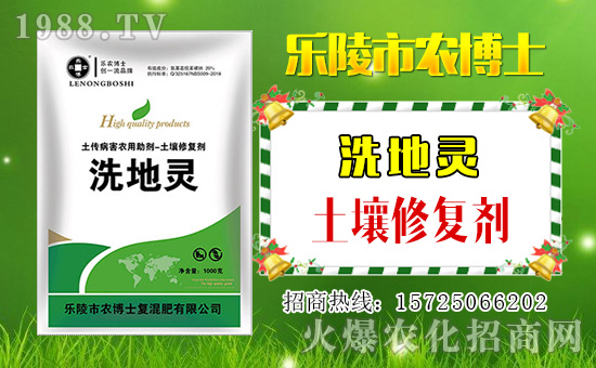 ���r(n��ng)��ʿ��ף���2019��������\(y��n)�������ո�������