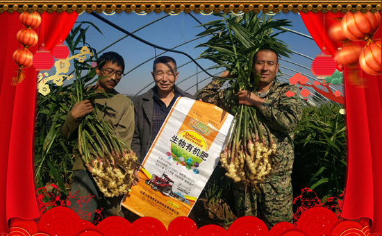     �C(j��)�����ں������������������ں����м������I(y��)���ں����ЉѴ����������ں������v�w��ֵ���´��ѹ�(ji��)���R֮�H����(n��i)�ɹŽ��¡�r(n��ng)�I(y��)�Ƽ��l(f��)չ���޹�ףԸ��λ��(j��ng)�N�����ѣ����w������ؔ(c��i)Դ�V�M(j��n)���f�������