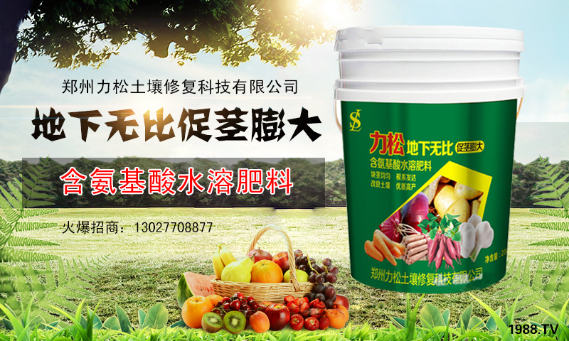 ���������ɡ�ף������µ�һ�������w�������f��������