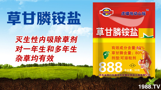 ��ɽ�|�ÿ͡�ף������µ�һ�������w�������f��������