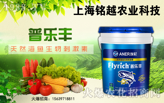 ���Խ�r(n��ng)�I(y��)��ף������µ�һ����ؔ(c��i)�\(y��n)�L�L������������