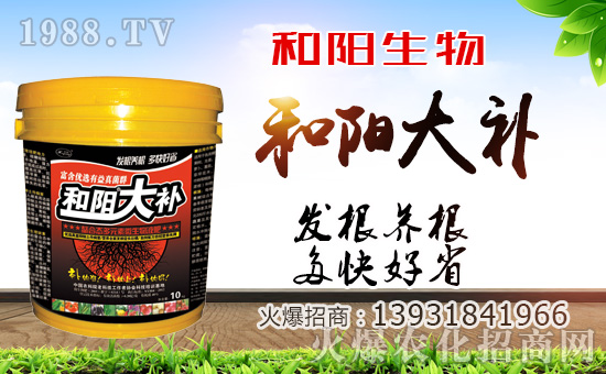 �����(y��ng)���ף������µ�һ�������w�������f(w��n)��������