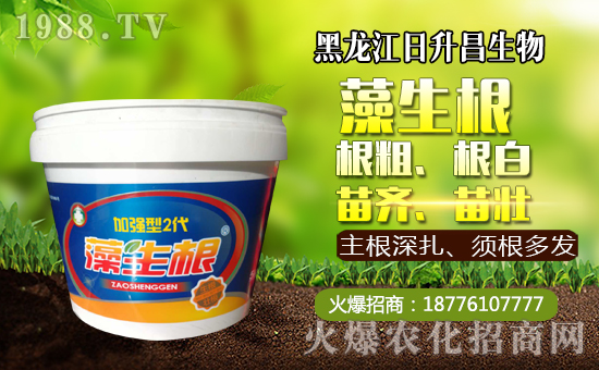     ����������������ף��������µ�һ�����_��󼪣��f��������