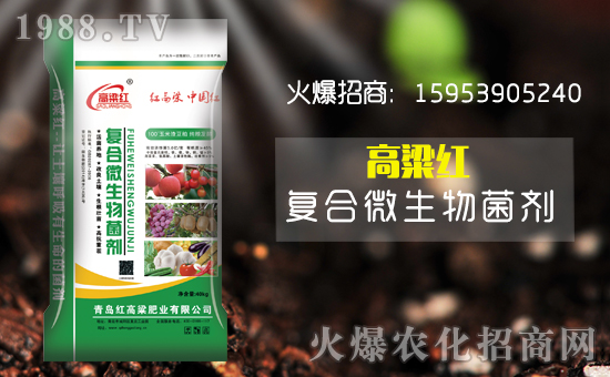 �����u�t������ף������µ�һ����ؔ(c��i)Դ�L�L��(l��i)��