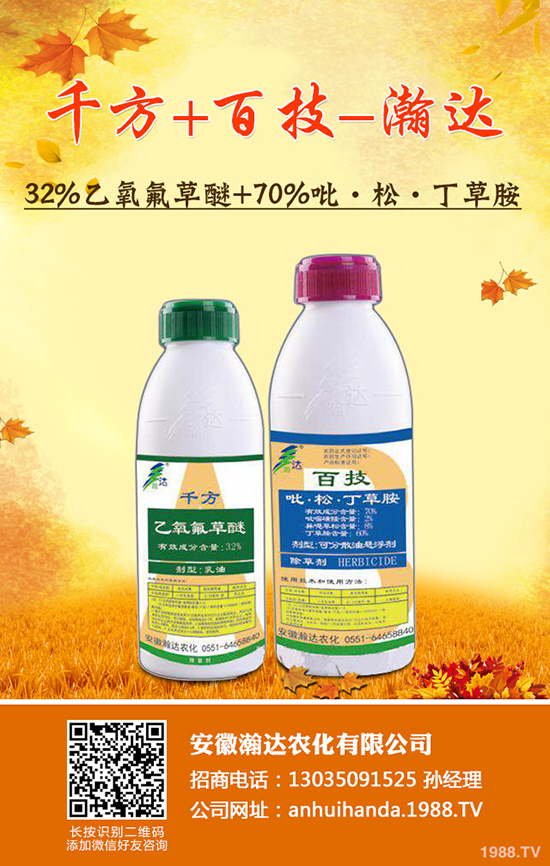     ��������_(d��)�r(n��ng)������ף������w�������H���Ҹ����i�����