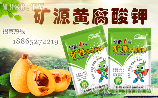 ���Ƅ�(chu��ng)�r(n��ng)�I(y��)��ȫ�w�T����ףȫ����(j��ng)�N�����w�������i���д��\��