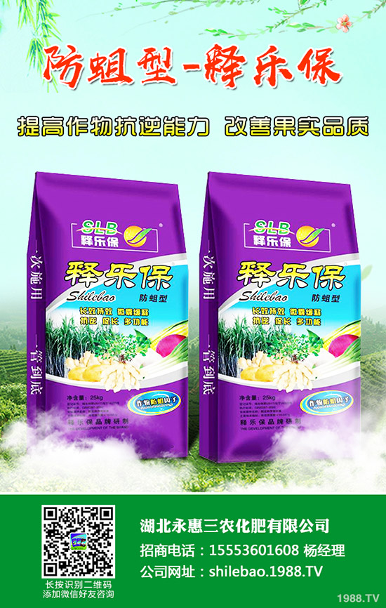 秋冬柑橘得了急性炭疽病怎么辦？柑橘急性炭疽病的發(fā)病原因及防治方法！