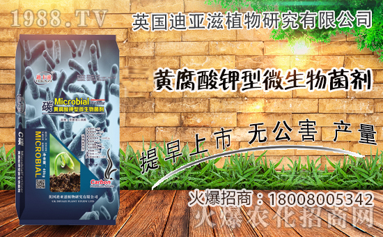 �r(n��ng)���W(w��ng)ϲӭ�����ѣ�Ӣ���ρ��̔y��1988.TV���_�ؾW(w��ng)�j(lu��)������������