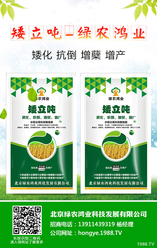 蒜苗的種植方法有哪些,如何才能獲得高產(chǎn)?