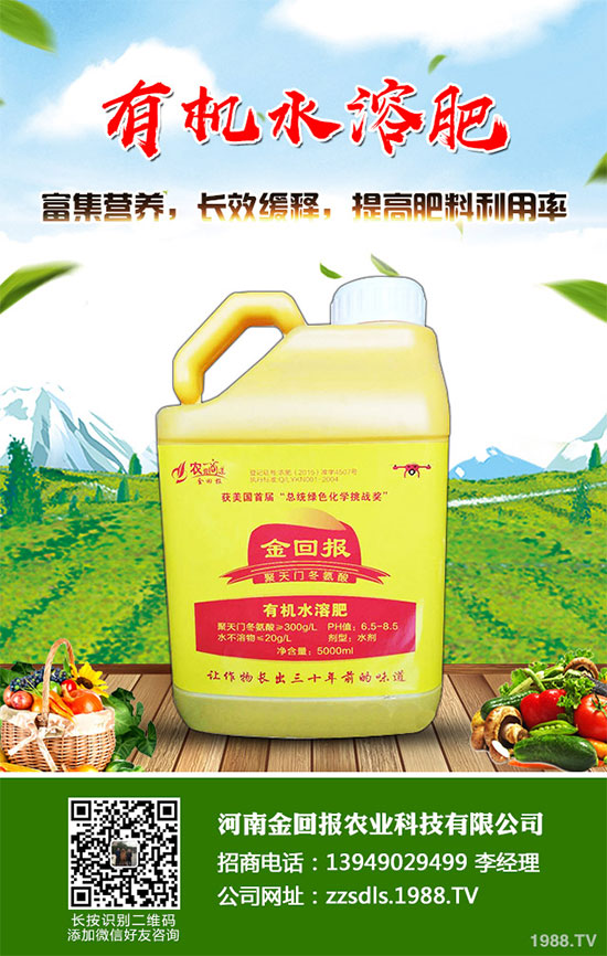 十月份蔬菜該怎么管理？2019年10月蔬菜種植管理指南