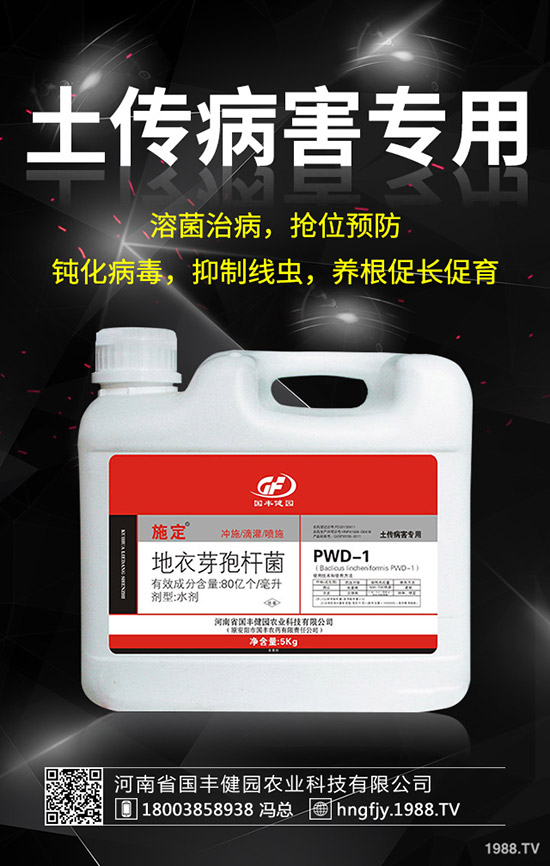 С�����݄�ʲô�r(sh��)������С������݄��ĕr(sh��)�g��ע�����(xi��ng)��