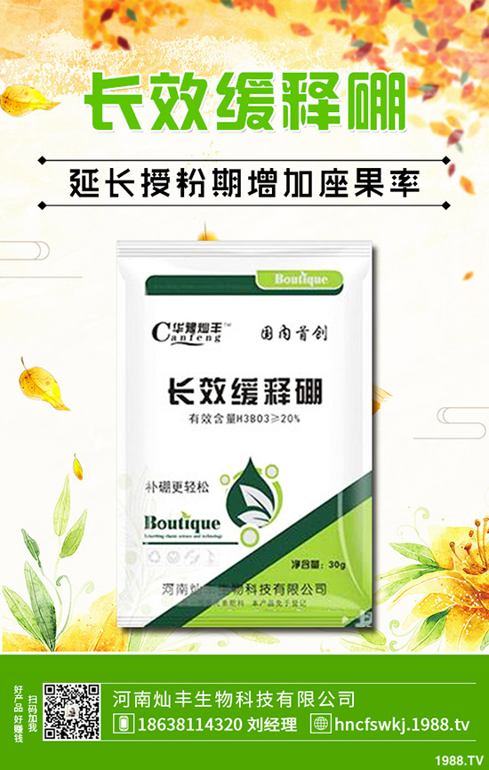 ���X�ݺ��~�X����ʲô��ͬ�����X�ݺ��~�X�ݵą^(q��)�e��Щ��