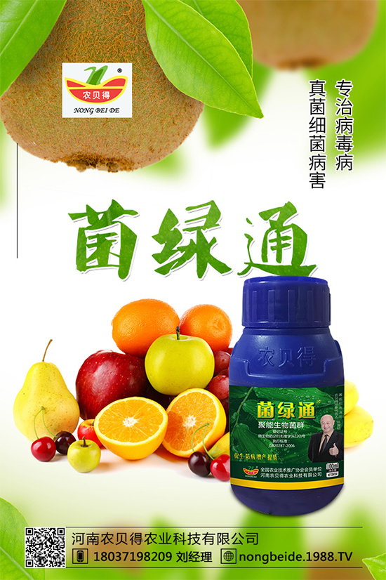 С��������_�x�N����֪������x�N�Ŀ��@����