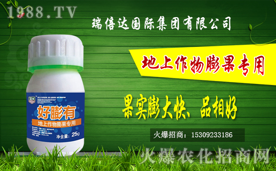 �r(n��ng)���W(w��ng)ӭ�폊(qi��ng)���������_(d��)���H���F(tu��n)�𱬁��u��