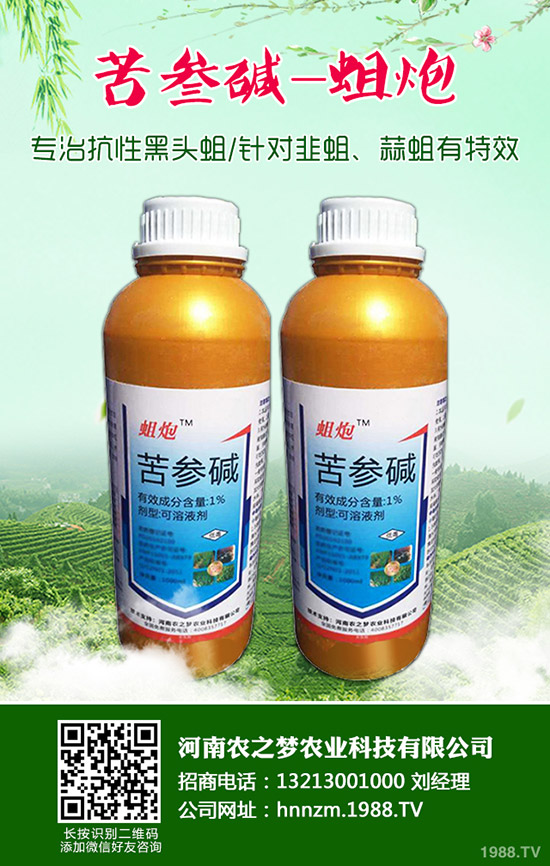 ��ĸ�ݵĹ�Ч�c���ã���ĸ�ݵ�ʹ�ý�����