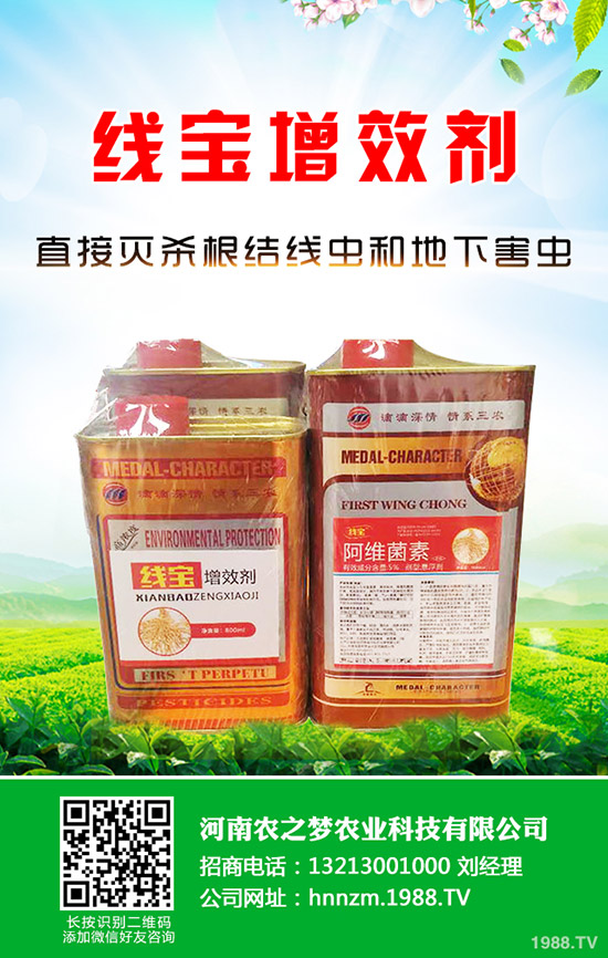 芹菜發(fā)芽慢如何解決？芹菜的催芽小技巧！