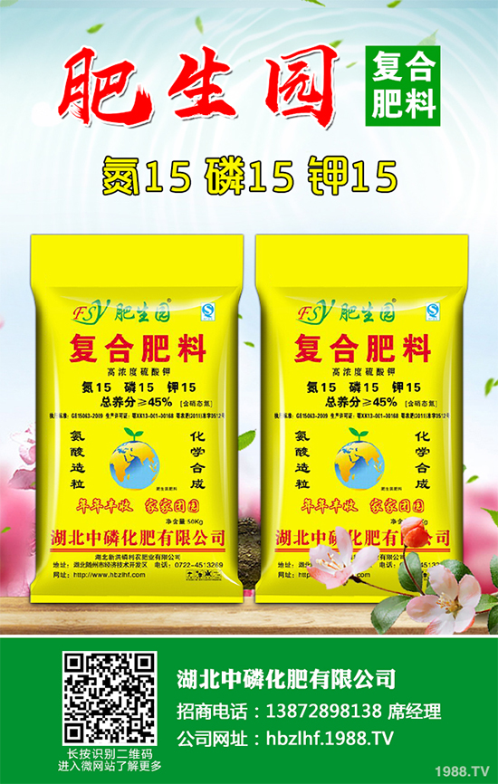 香菜如何施肥產(chǎn)量更高？秋茬香蔥高產(chǎn)施肥方案