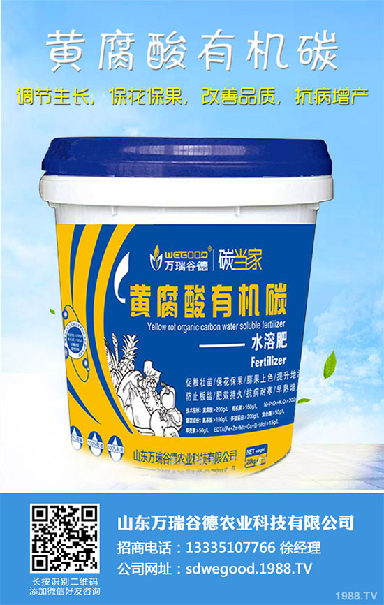 С�ײ�ʲô�r��Nֲ��С�ײ˸߮a�Nֲ���g