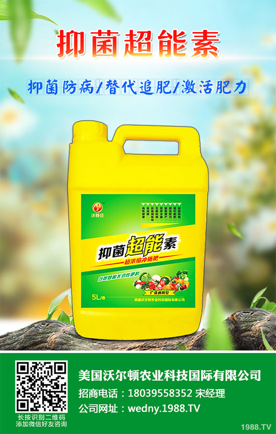 С�ײ������װ߲�ԓ��ô�k���ײ˰װ߲����δ�ʩ