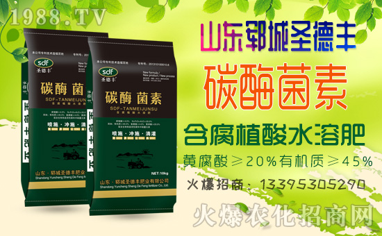     ����ʮ����1988.TVϲӭ��������ɽ�|�i��ʥ���S��(qi��ng)�݁��u��