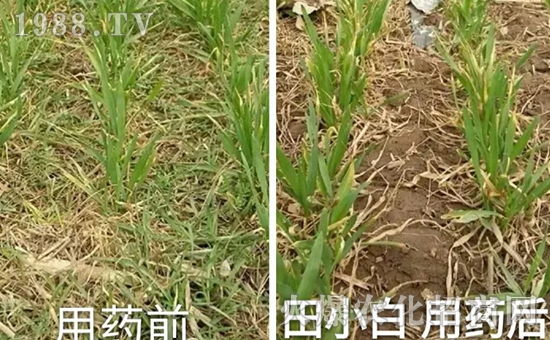 ��(ji��)��(ji��)����η�������ʲôˎ����ô��ˎЧ���ã�