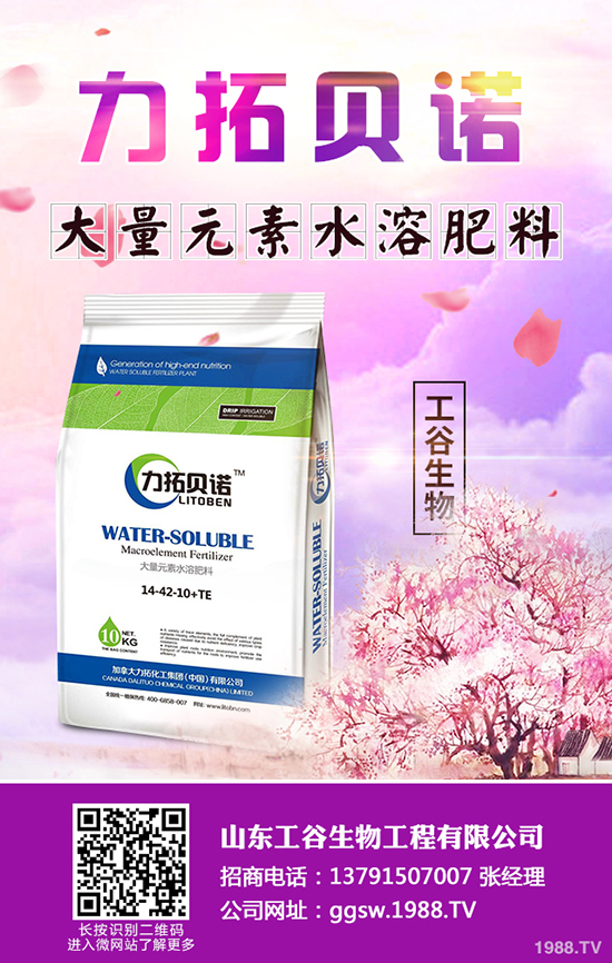     ����(ch��)���鼴������(d��ng)���������؃r(ji��)�������A(y��)�y2019-10-22