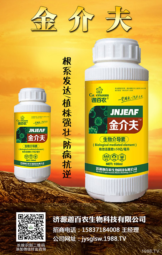 ���������o��������ô�k�������o���������\���c������