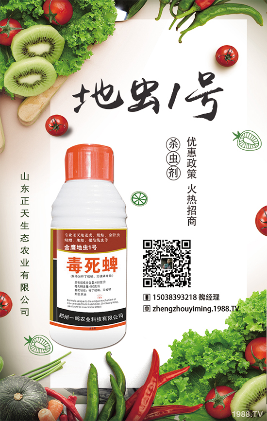 �����}����ηNֲ�������}����Ҫע��ʲô��