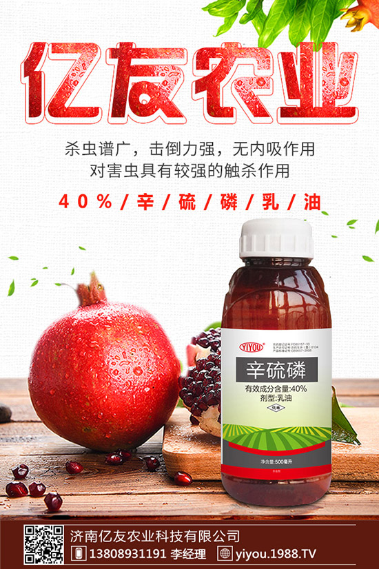 �D÷�N����ô�N���D÷�N�ӷNֲ������