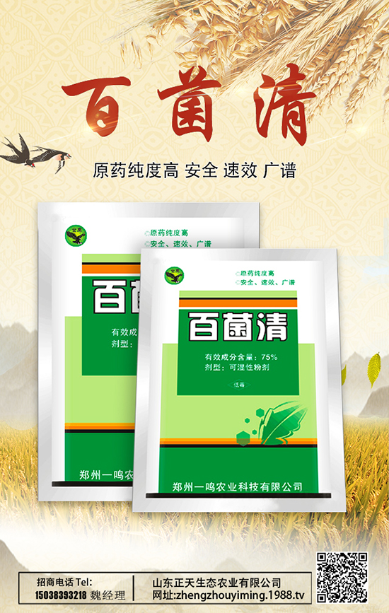 ɽ�|�������B(t��i)�r(n��ng)�I(y��)���޹�˾