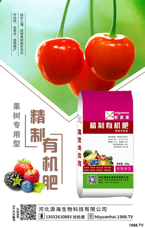 2020���㹽�Nֲǰ�������2020���㹽�Nֲٍ�X����