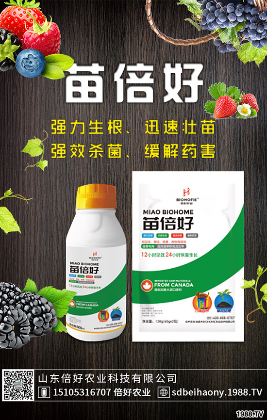 С�����N�󲻳����������ԭ����������С��������?