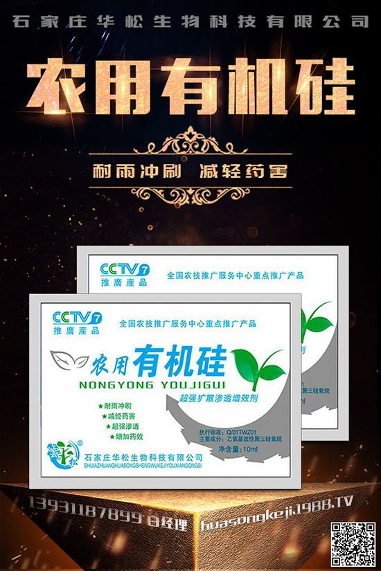 �۲˿��ĵ�ԭ����ʲô������A(y��)���۲˿�����