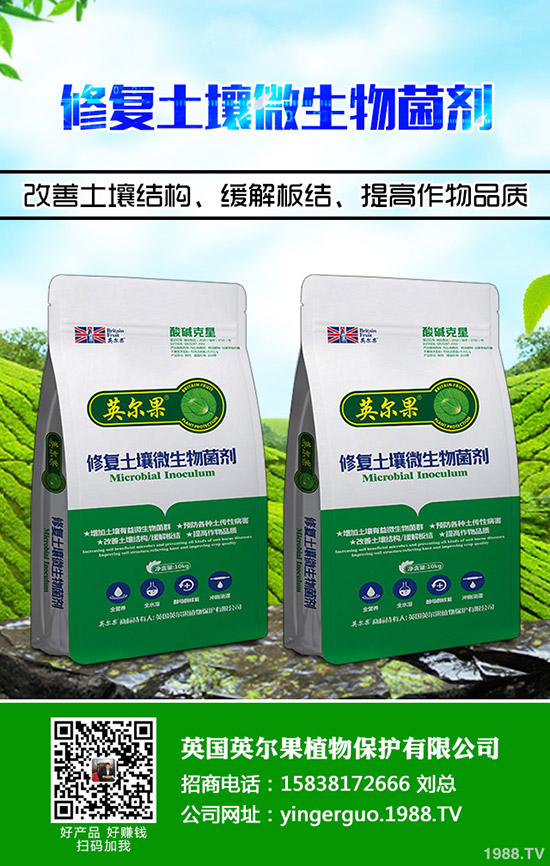 烯肟菌胺國家標(biāo)準(zhǔn)!如何選購?烯肟菌胺購買注意事項!