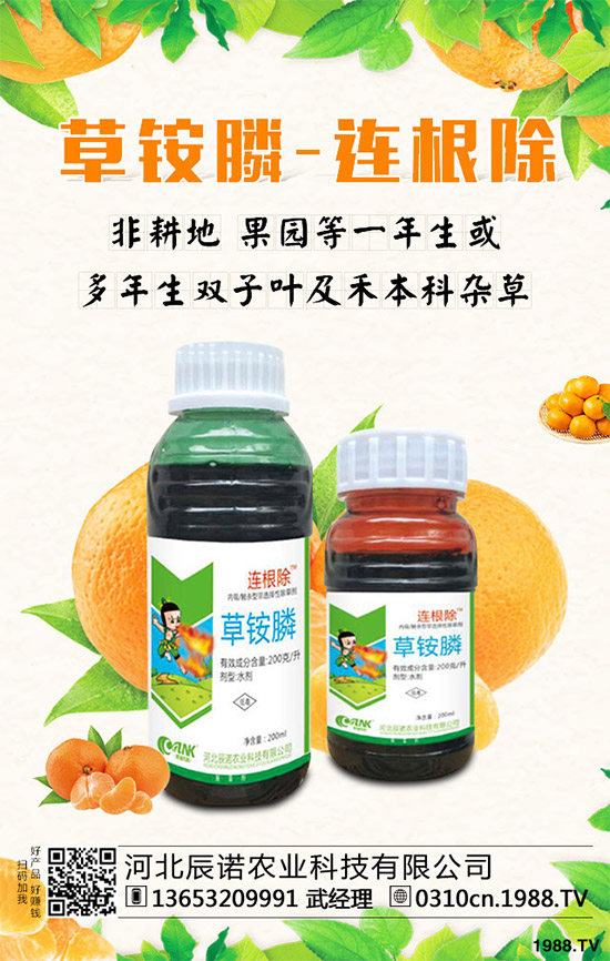 ����¡���݄��r(ji��)��