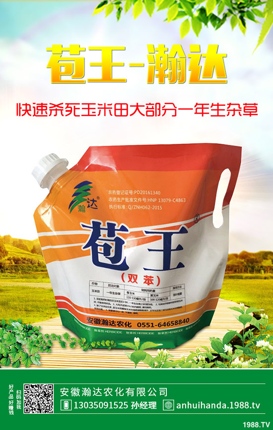 早春韭菜怎么施肥?韭菜施肥方法和注意事項!