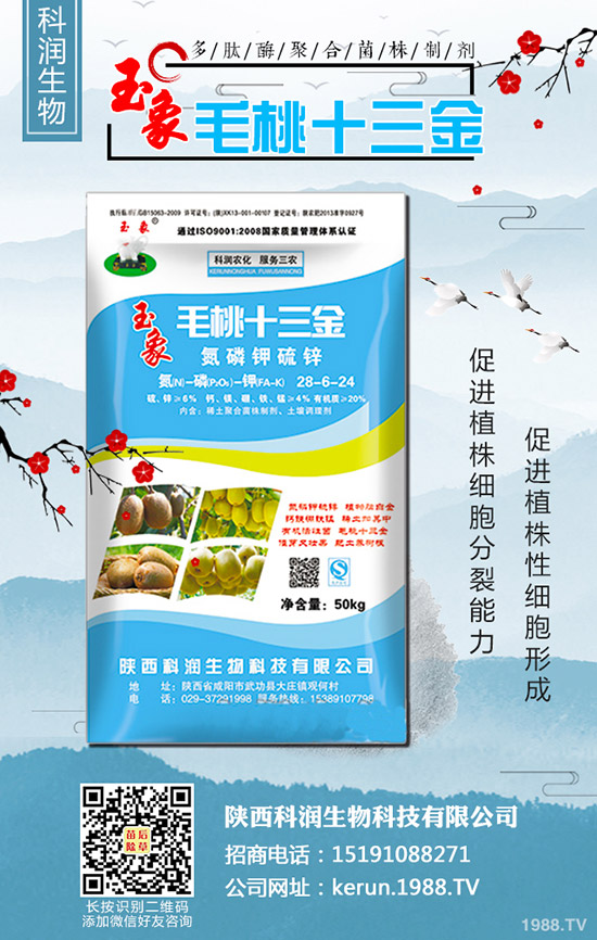     2019-10-30���¶��@�r(ji��)�������(d��ng)�B(t��i)�u(p��ng)���������Xһ����