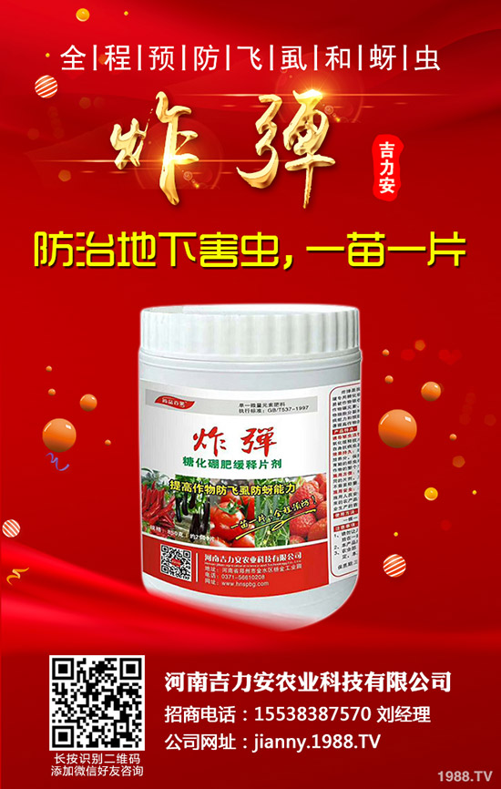 �۲˵Ĺ�Ч�c��������Щ�˲��ܳ��۲ˣ�