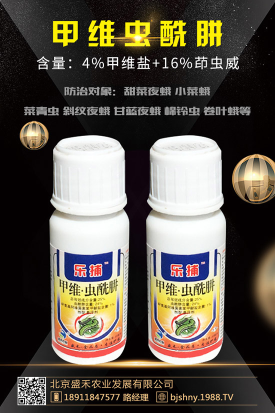     ���������ܚ�ʲô�x�����ʹ���������������c�˽�ô��